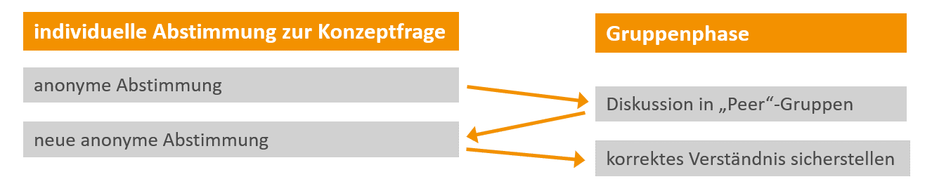 Peer Instruction Schema